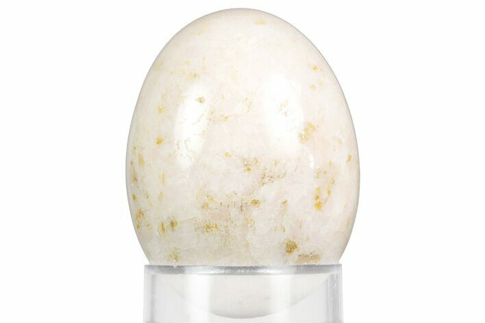 Polished Pink Inesite Egg - South Africa #356359